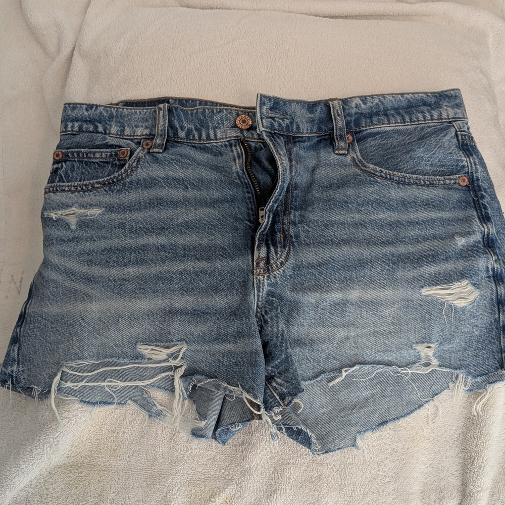 American Eagle Outfitters Blue Distressed Jean Shorts